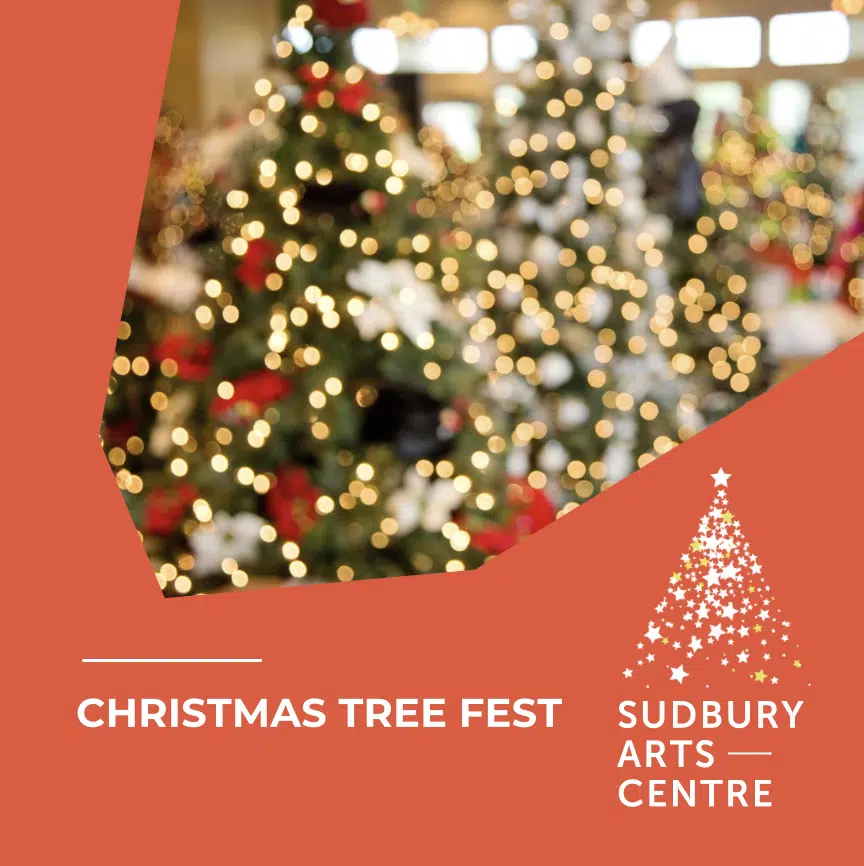 Christmas Tree Festival | Day 6